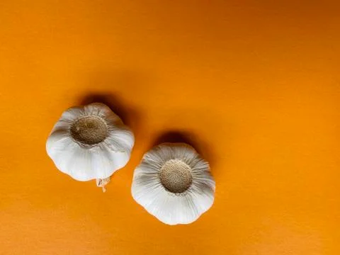 Garlic with copy space Stock Photos