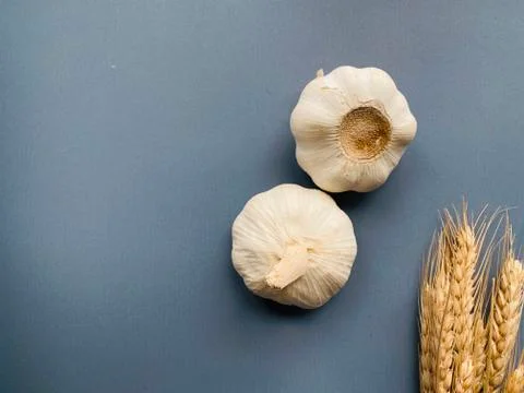 Garlic with copy space Stock Photos