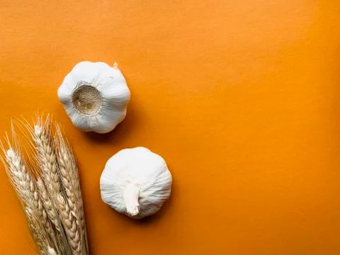 Garlic with copy space Stock Photos
