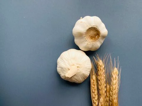 Garlic with copy space Stock Photos