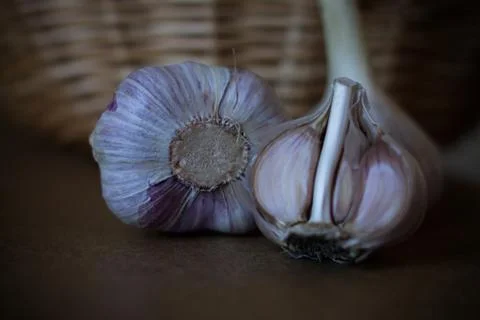 Garlic on a Dark Background Stock Photos