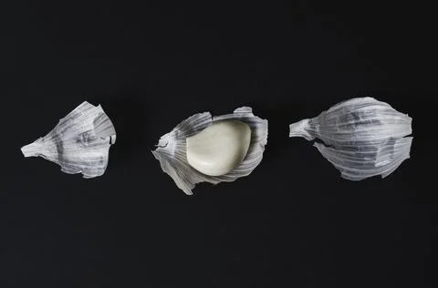 Garlic on a dark background Stock Photos