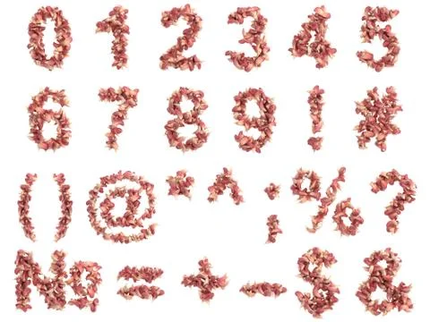 Garlic digits on white background Stock Illustration