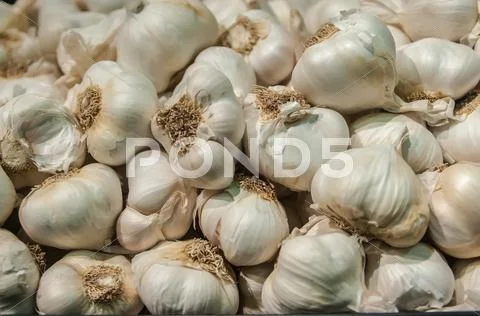 Garlic on display at farmers market Stock Photos