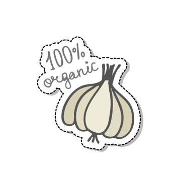 Garlic doodle icon, vector sticker color illustration Stock Illustration