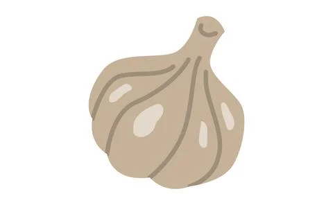 Garlic flat design isolated on white background EPS 10. Stock Illustration