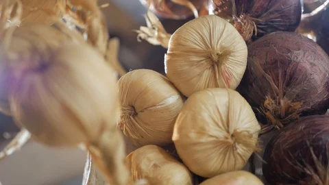Garlic Stock Footage 87347585