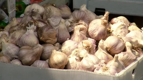Garlic Stock Footage 108554433