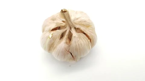 Garlic Stockbeeldmateriaal 166840301