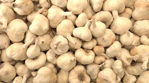 Garlic Stock Footage 287502612
