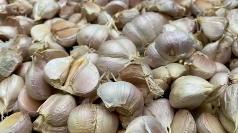 Garlic Stock Footage 329236527