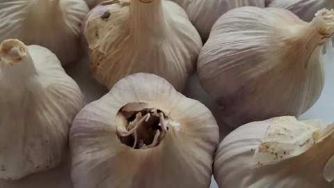 Garlic Stock-Footage 344479994