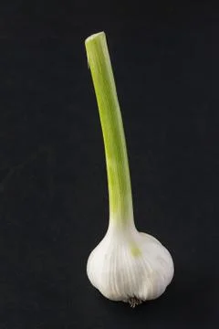 Garlic, fresh organic Stock Photos
