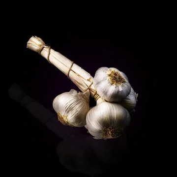 Garlic grappe on a black background Stock Photos