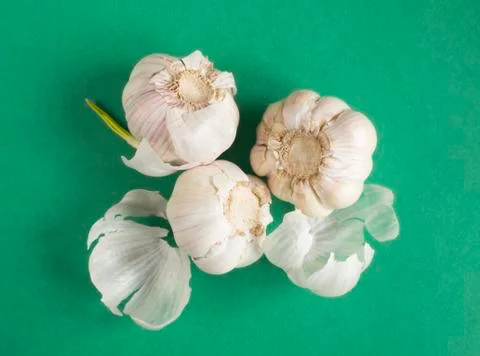 Garlic on green background Stock Photos