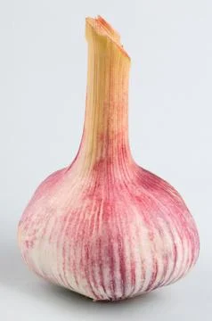 Garlic on green Background Stock Photos