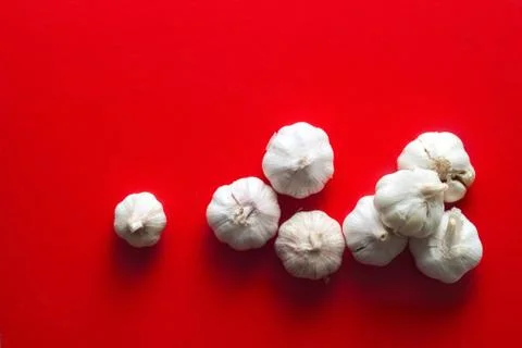 Garlic group on red background Fotos Stock