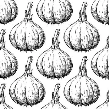 Garlic hand drawn vector seamless pattern. Isolated Vegetable Engraved styl.. Stock Illustration