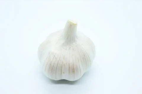 Garlic head located on a white background Stock Photos