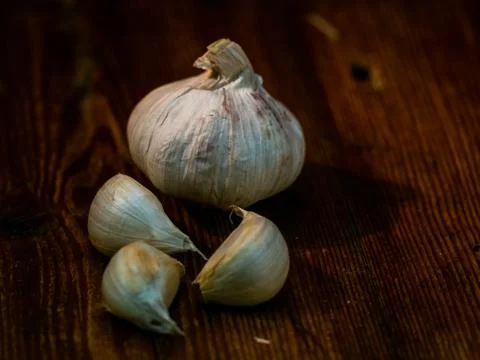 Garlic head Stock Photos