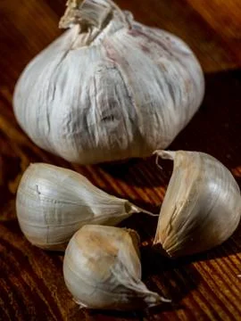 Garlic head Stock Photos