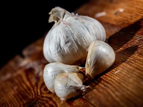 Garlic head Stock Photos