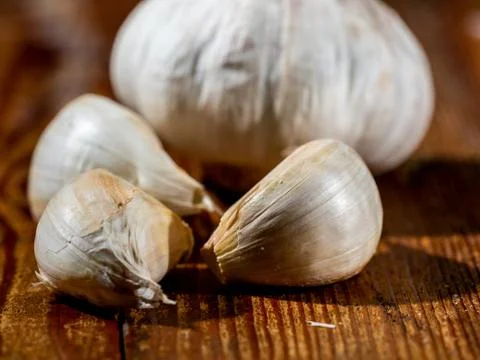 Garlic head Stock Photos