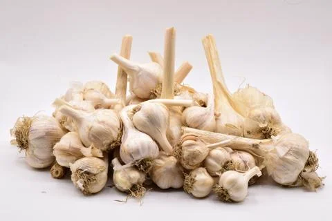 Garlic Heads on a White Background Stock Photos