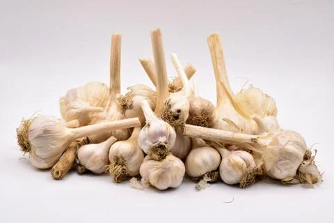 Garlic Heads on a White Background Stock Photos