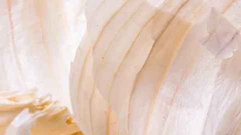 Garlic husk textured background, stop motion Stock Footage 125445197