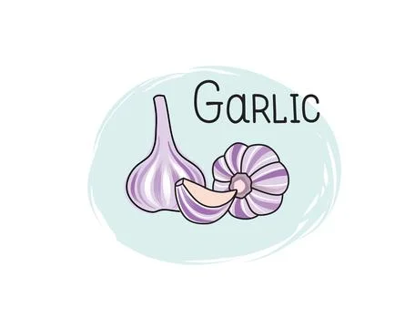 Garlic icon. Half, slice and full spice garlic herb isolated on white backgro Stock Illustration
