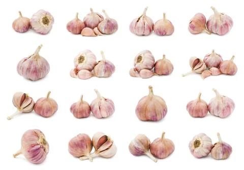 Garlic Stock Illustration