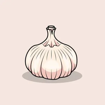 Garlic Stock Illustration