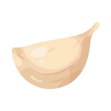 Garlic Stock Illustration