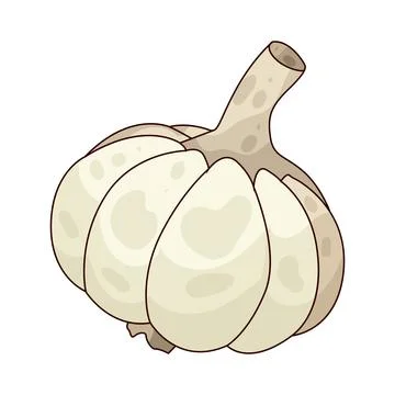Garlic illustration Illustrazione stock