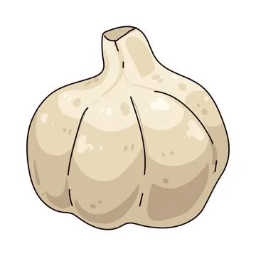 Garlic illustration Ilustração Stock