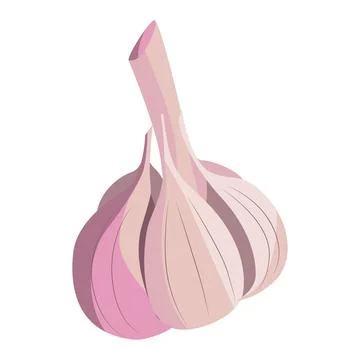 Garlic illustration vector isolated on white background Stock Illustration