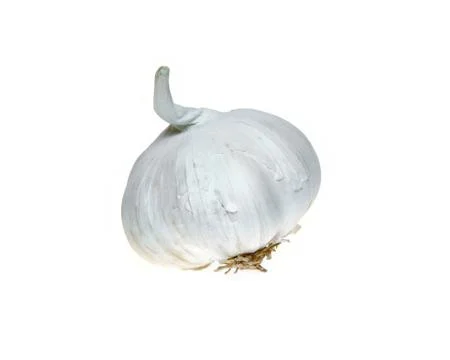 Garlic isolated Stock Photos