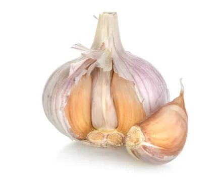 Garlic isolated Stock Photos