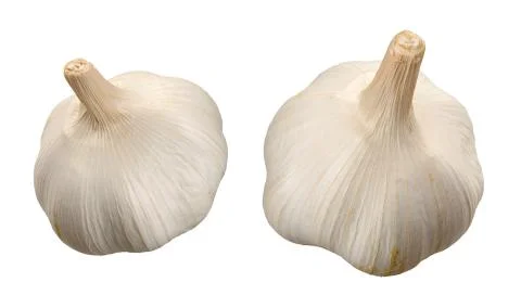 Garlic isolated Stock Photos