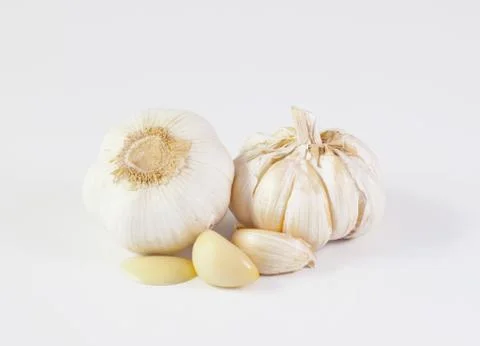 Garlic isolated Stock Photos