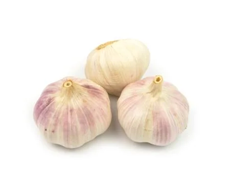 Garlic isolated Foto stock