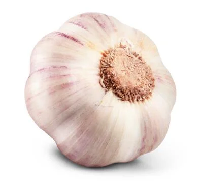 Garlic isolated Stock-Fotos