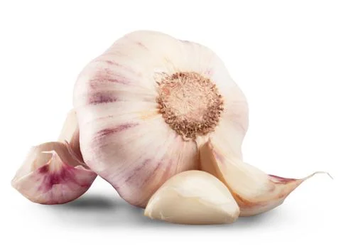 Garlic isolated Stock Photos