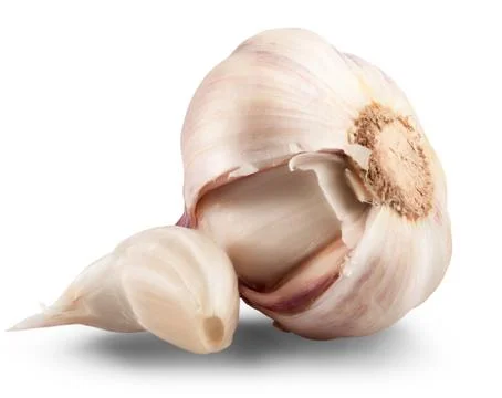 Garlic isolated Foto stock