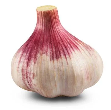 Garlic isolated Stock Photos