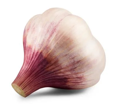 Garlic isolated Stock Photos