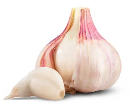 Garlic isolated Stock Photos