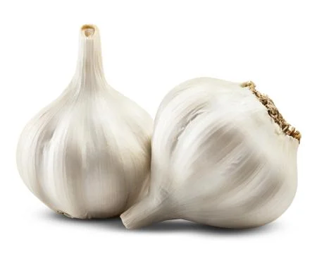 Garlic isolated Stock Photos