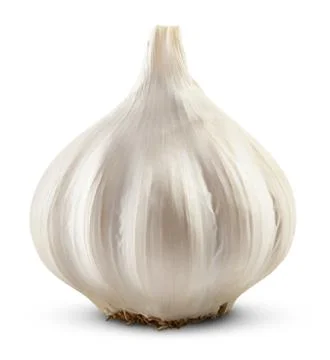 Garlic isolated Stock Photos